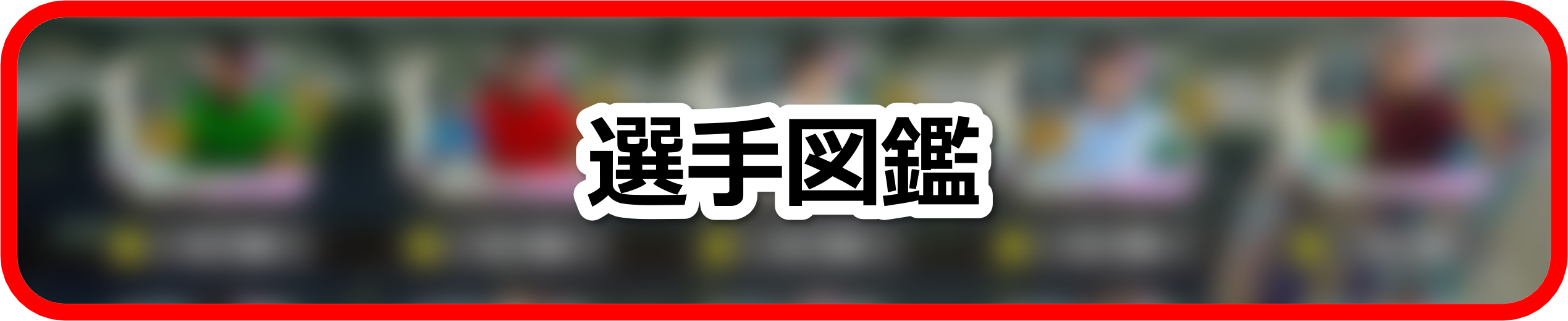 選手図鑑